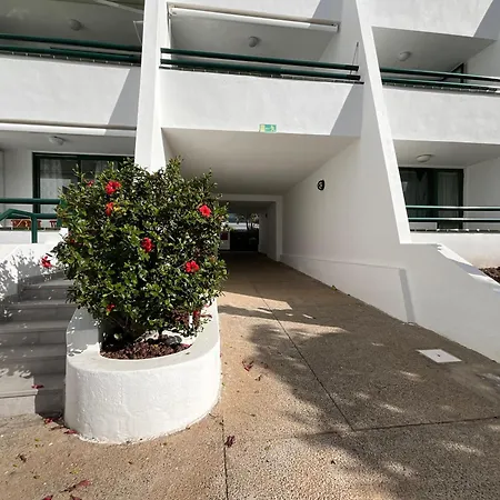 Dream Americas Iconic Pearl 아로나