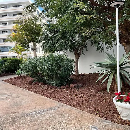 Dream Americas Iconic Pearl