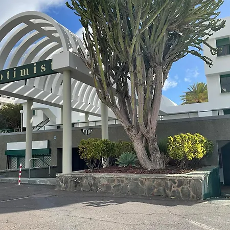 Dream Americas Iconic Pearl