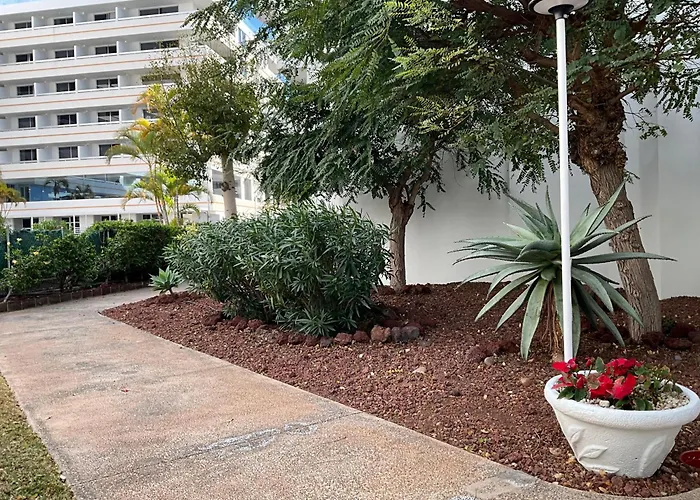 Dream Americas Iconic Pearl Apartment